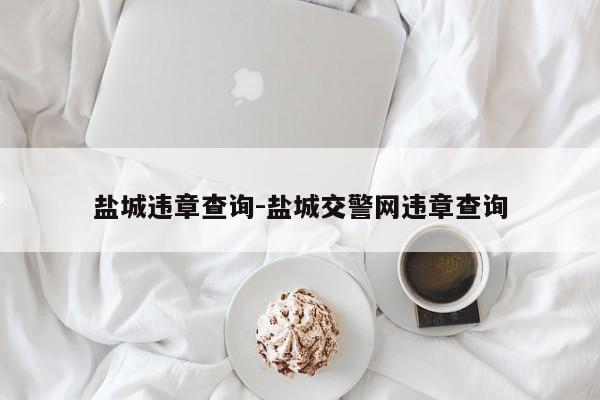 盐城违章查询-盐城交警网违章查询