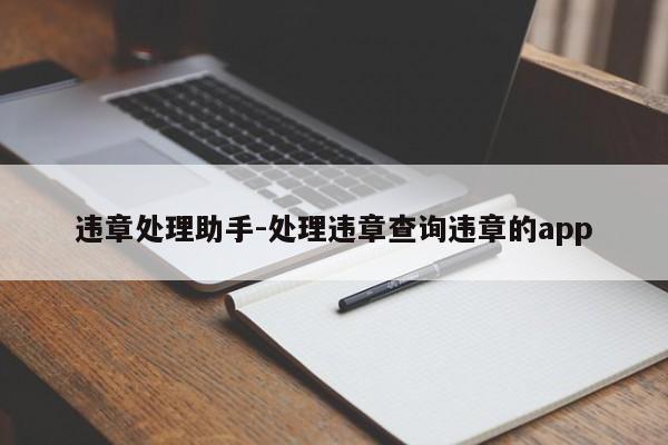违章处理助手-处理违章查询违章的app
