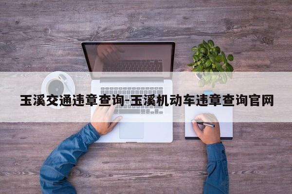 玉溪交通违章查询-玉溪机动车违章查询官网