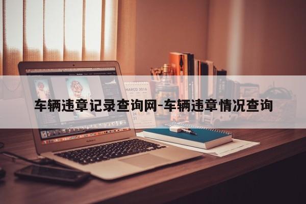 车辆违章记录查询网-车辆违章情况查询