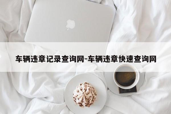 车辆违章记录查询网-车辆违章快速查询网
